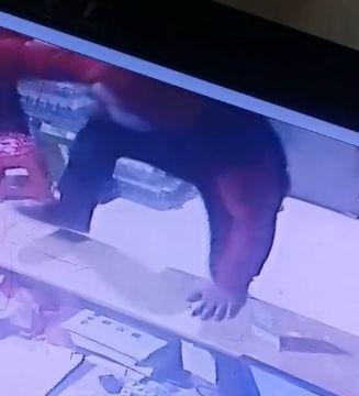 佤邦最新爆料消息视频,揭秘神秘势力动态